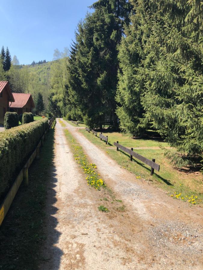Ferienhaeuser Am Waldschloesschen Lautenthal Exterior foto