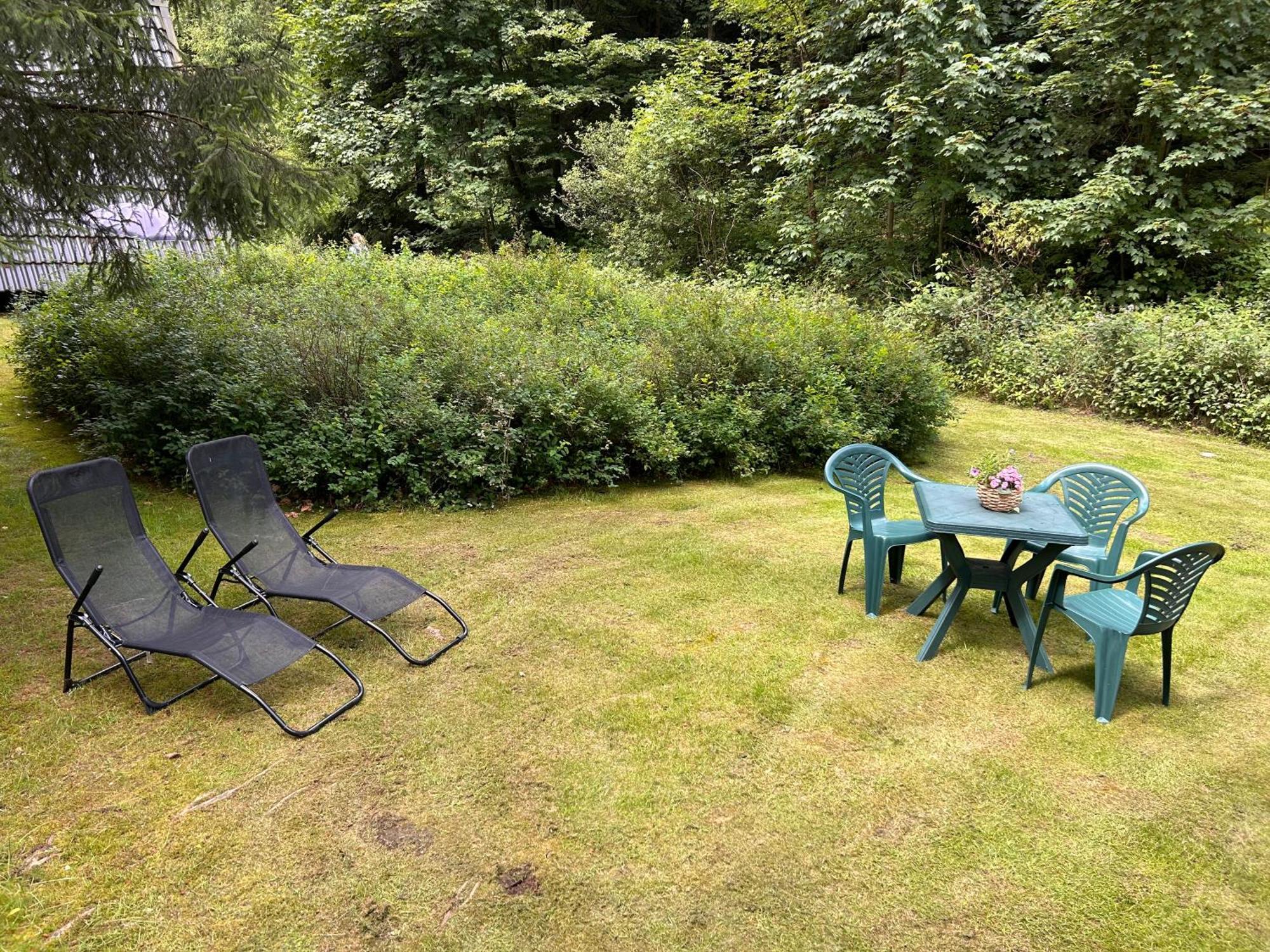 Ferienhaeuser Am Waldschloesschen Lautenthal Exterior foto