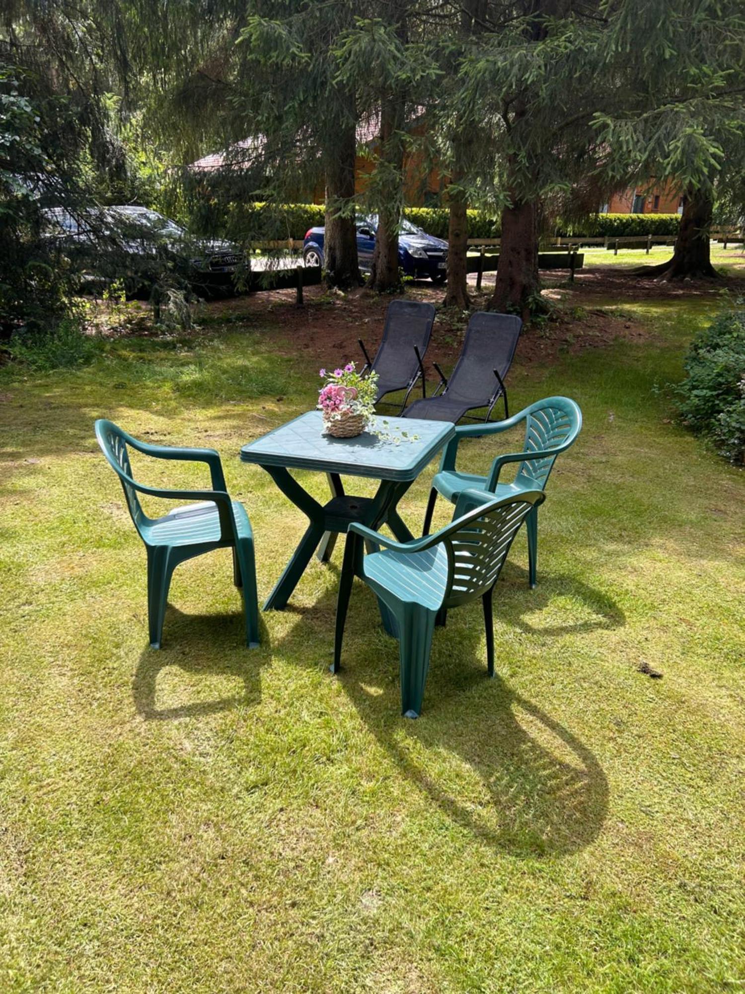 Ferienhaeuser Am Waldschloesschen Lautenthal Exterior foto