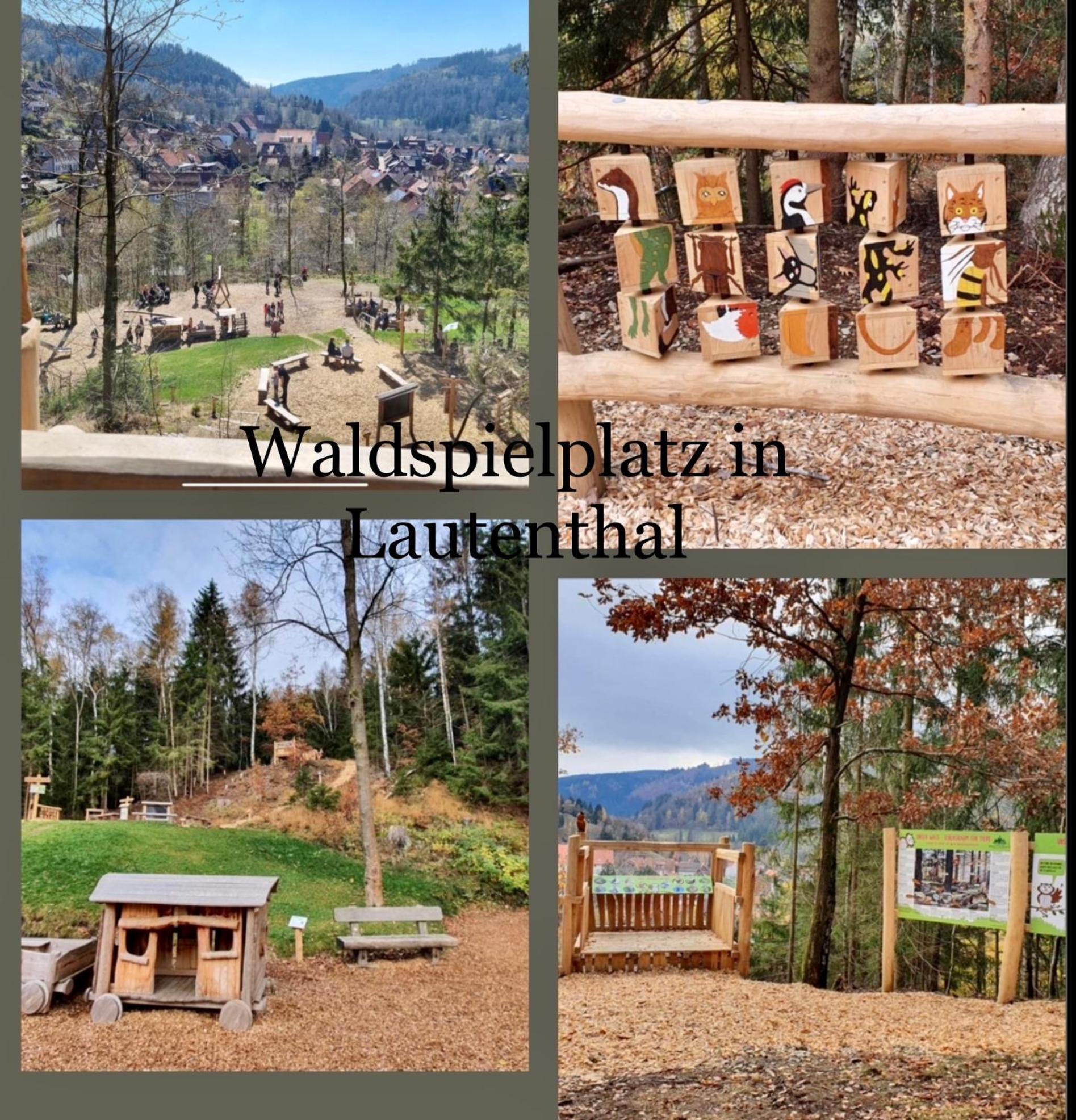 Ferienhaeuser Am Waldschloesschen Lautenthal Exterior foto