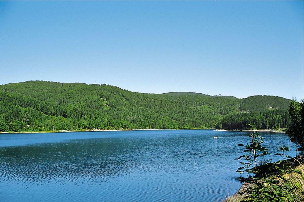 Ferienhaeuser Am Waldschloesschen Lautenthal Exterior foto